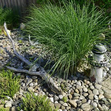 Feriehus Fewo1846 - Ostseeflair Komfortables Reihenhaus Mit Zwei Schlafzimmern, Garten Und Terrasse *